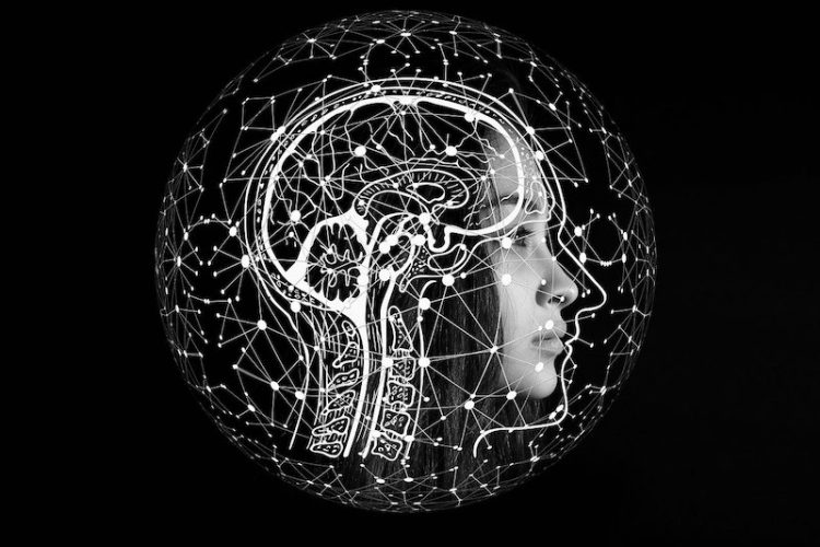 Image cerveau humain symbolisant l'intelligence artificielle